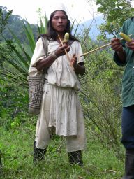 Our guides