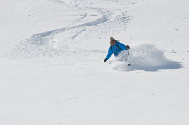 Whistler powder nearby