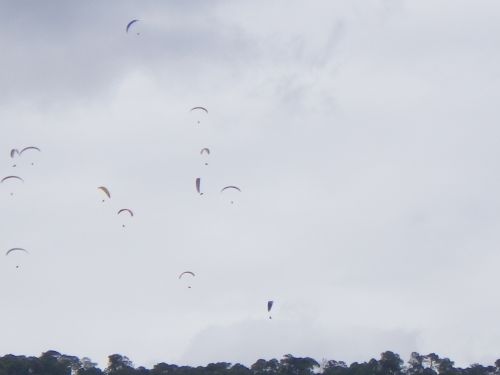 gaggles of gliders over Valle