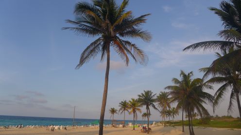 and just some very pristine beaches , right out the door of the Tropicoco